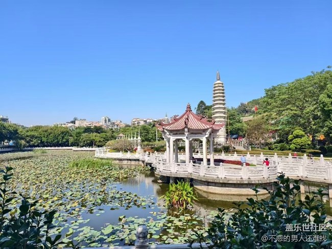 【秋意濃】秋游南普陀