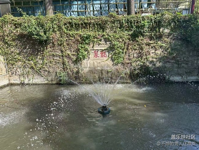 【秋意濃】秋游南普陀