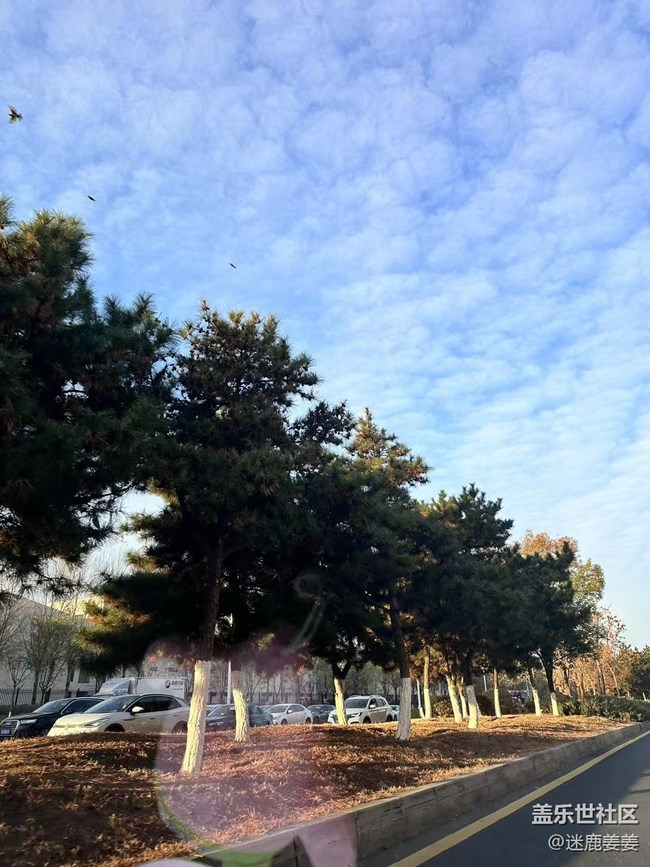 【初冬來】上班路上，路人行色匆匆