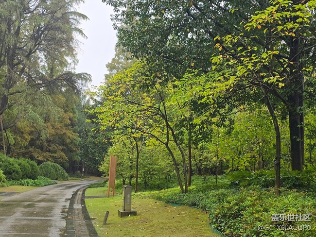 #秋天的道路——路上的風(fēng)景