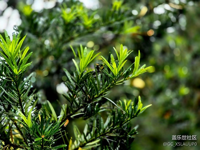 #秋天的道路——路上的風(fēng)景