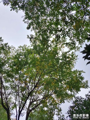 【秋冬時(shí)光】立冬