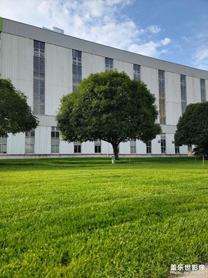 【秋冬時光】暖冬下的長沙