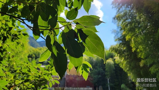 如果治愈有景色，那一定是天空