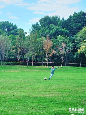 周末去公園拍的一些照片
