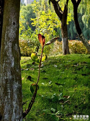 【秋冬時(shí)光】+ 深秋