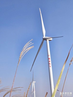 【秋冬時光】+風(fēng)車