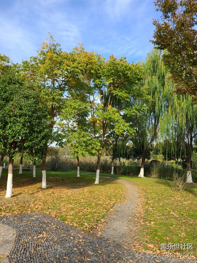 【Galaxy影像】自然的律動(dòng)+親近自然