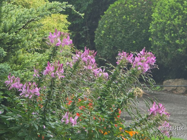 #秋天的道路——路上的風(fēng)景