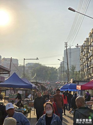 【秋冬時(shí)光】+在東北早市感受煙火人間