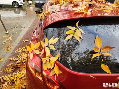 秋天來臨的時候