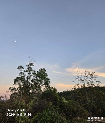 【隨拍分享】綠意盎然的鄉(xiāng)村