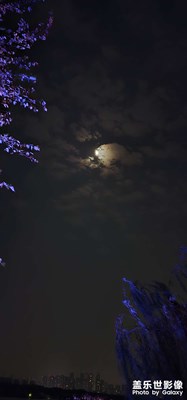 晚上的秋月