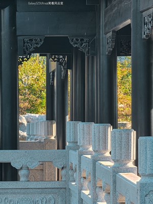 【身邊的風(fēng)景】Galaxy S23Ultra 秋日麗影