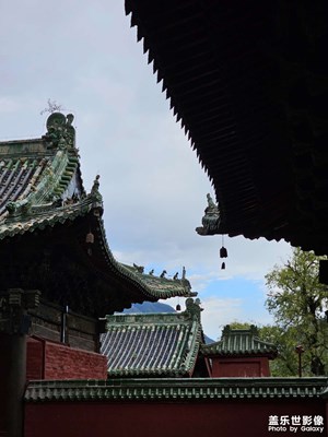 蹭一蹭李子柒的熱度
