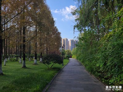 【身邊的風(fēng)景】+ 深秋已至