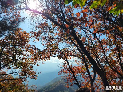 【身邊的風(fēng)景】+?初冬的秦嶺山