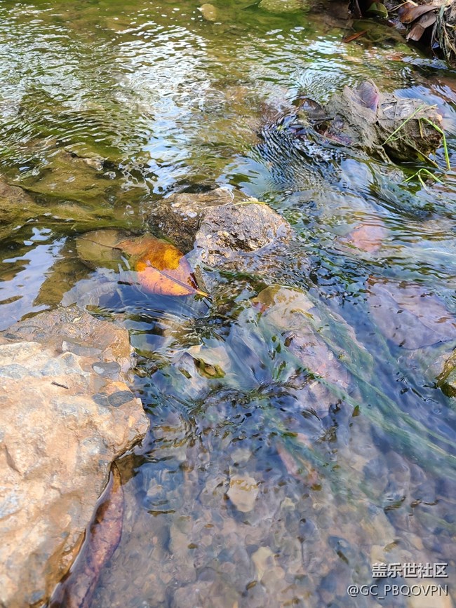 【Galaxy 影像】第一期+愛上秋天