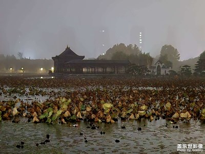 【身邊的風(fēng)景】+?下午的龍泉湖