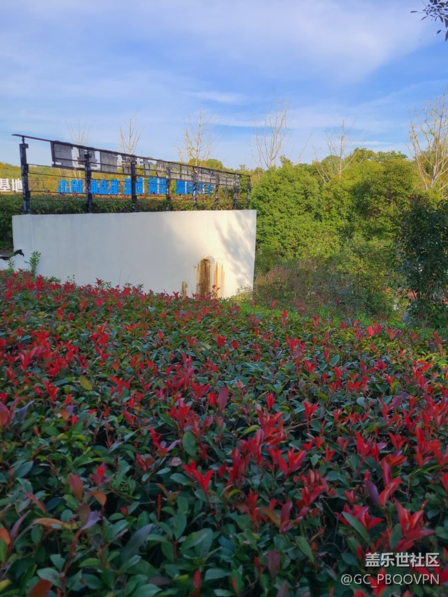 【Galaxy 影像】第一期+愛上秋天