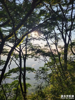 【身邊的風(fēng)景】+爬山