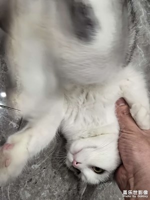 【身邊的風(fēng)景】拍攝想記錄的東西