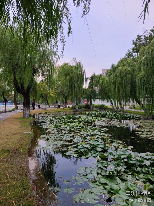 【Galaxy影像】自然的律動+湖邊散步