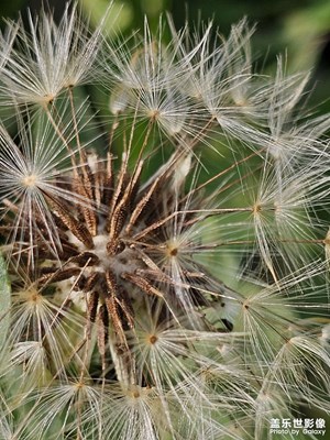 【見微知著】初冬景物