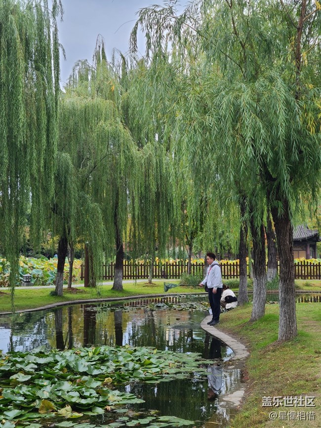 【Galaxy影像】自然的律動+湖邊散步