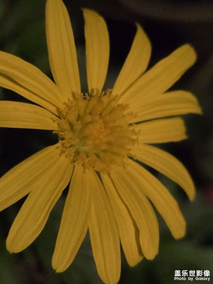 【見微知著】近美