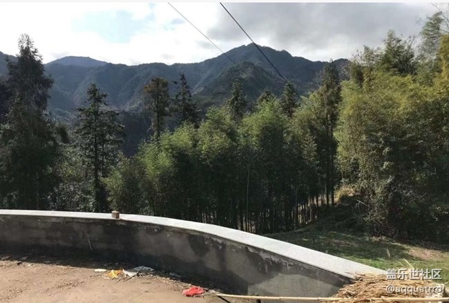 【Galaxy影像】自然的律動(dòng)+ 摘柚子