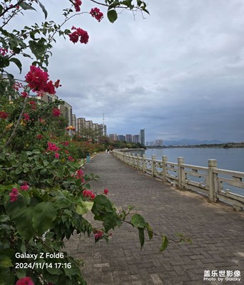 【身邊的風景】秋冬之韻熠熠生輝