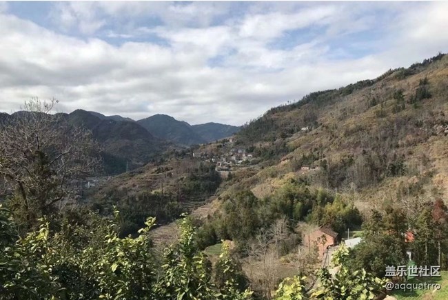 【Galaxy影像】自然的律動(dòng)+ 摘柚子