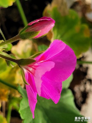 【見微知著】美好瞬間