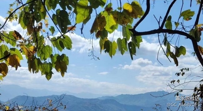 【秋暮冬初】落葉