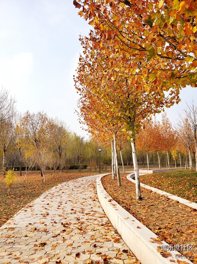 【秋暮冬初】+感受季節(jié)更迭