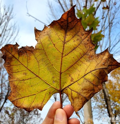 【見(jiàn)微知著】+秋冬印象

