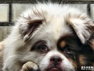 【見微知著】+花園隨拍