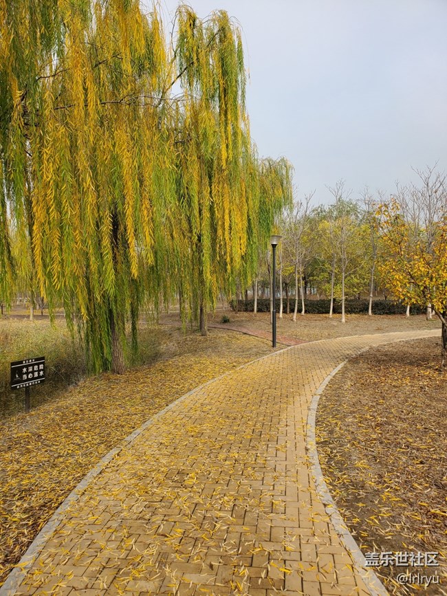 【秋暮冬初】+感受季節(jié)更迭