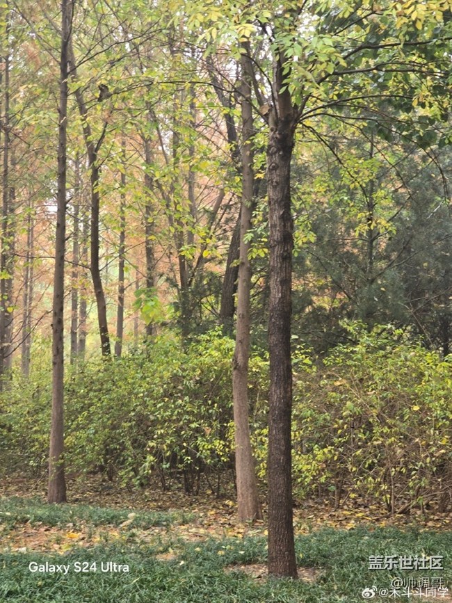 三星Galaxy S24 Ultra支持live動(dòng)態(tài)照片