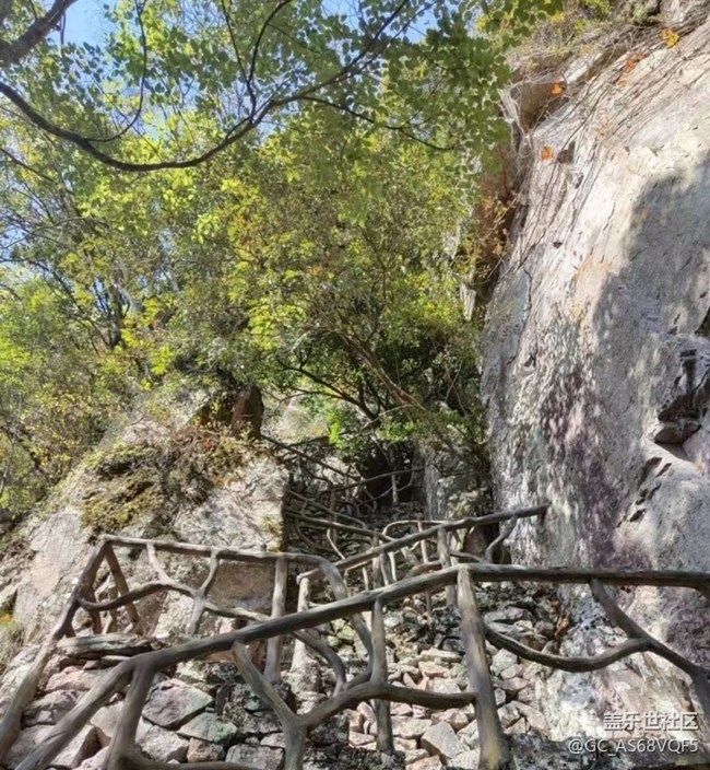 【秋暮冬初】落葉