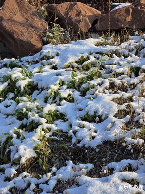 【身邊的風(fēng)景】+ 初冬的烏魯木齊