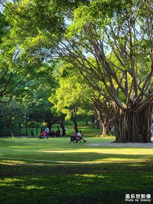 【身邊的風(fēng)景】+近期隨手拍