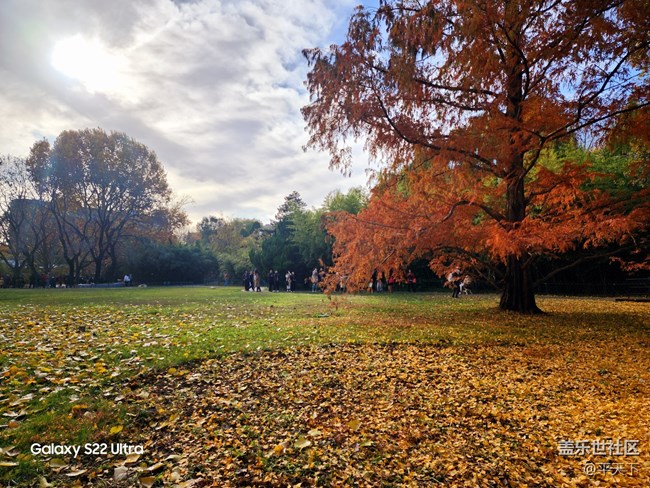 【紫竹院】落葉與風(fēng)的繪畫