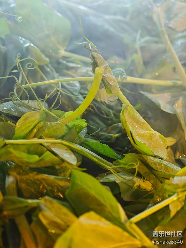 渾河下午茶攝影/回顧