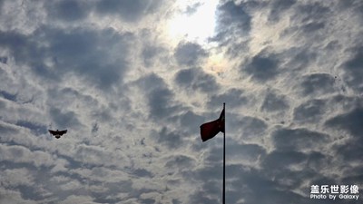 11月的饋贈是溫柔的好天氣和慢慢變好的自己