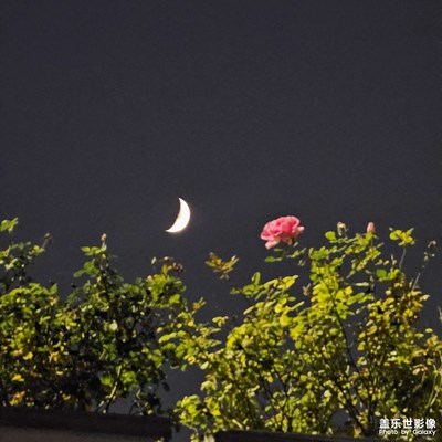 【身邊的風(fēng)景】+?初冬