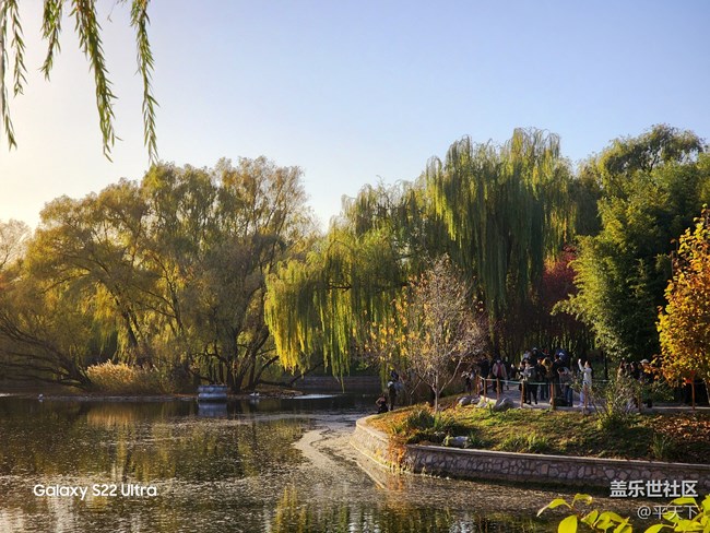 【紫竹院】落葉與風(fēng)的繪畫