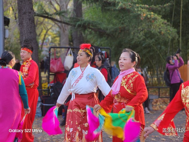 【紫竹院】落葉與風(fēng)的繪畫