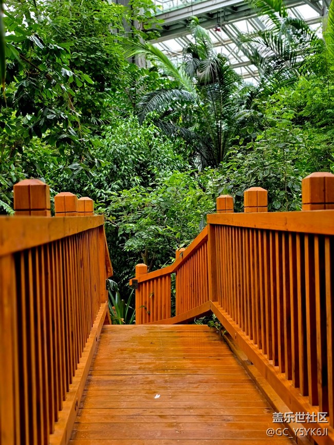 #秋天的道路——下雨天